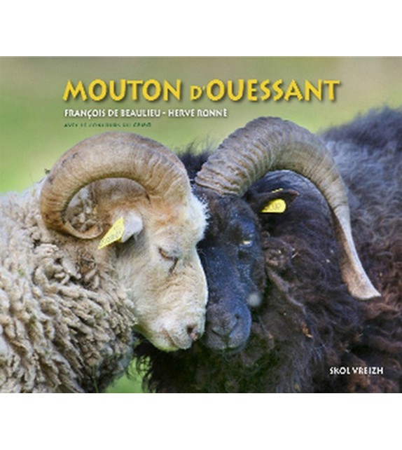 LE MOUTON D'OUESSANT - Patrimoine vivant de la Bretagne