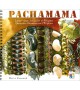 PACHAMAMA - Démarches paysannes sur l'Altiplano