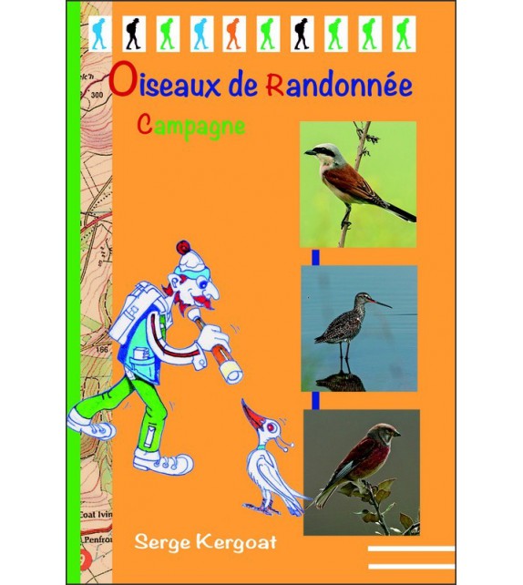 OISEAUX DE RANDONNEE - CAMPAGNE