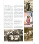 CLICHES ARMORICAINS (1870-1950) - Une Bretagne pittoresque et insolite