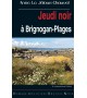 JEUDI NOIR À BRIGNOGAN-PLAGES