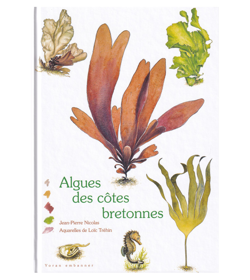 Algues des côtes bretonnes - La mer - Loic Trehin, Jean Pierre Nicolas,  Yoran Embanner