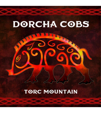 VINYLE DORCHA COBS - Torc mountain